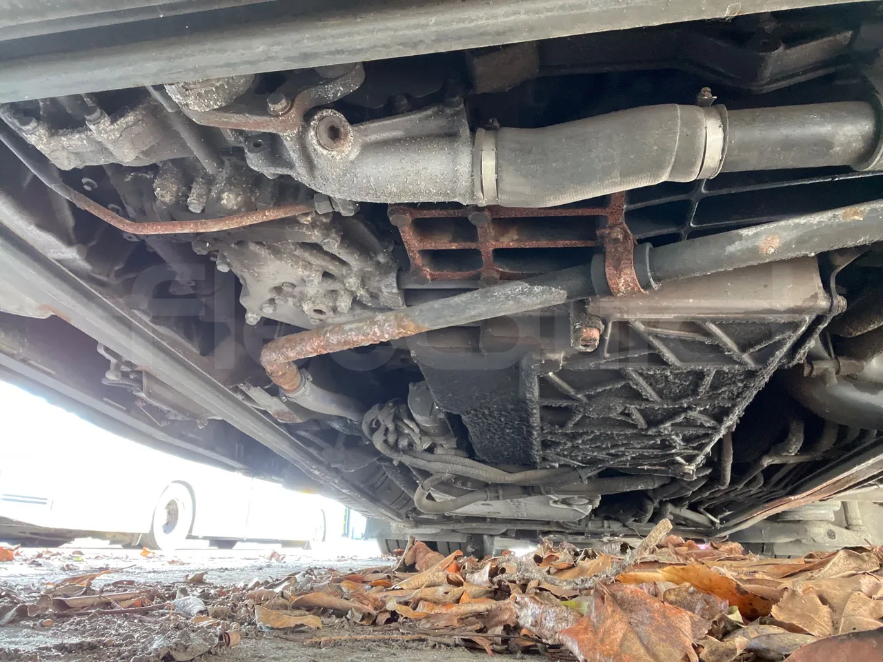 Man Lion's City A21 - EUR5 - 206kW - 11.980m - axle 2 shock absorbers 2 left