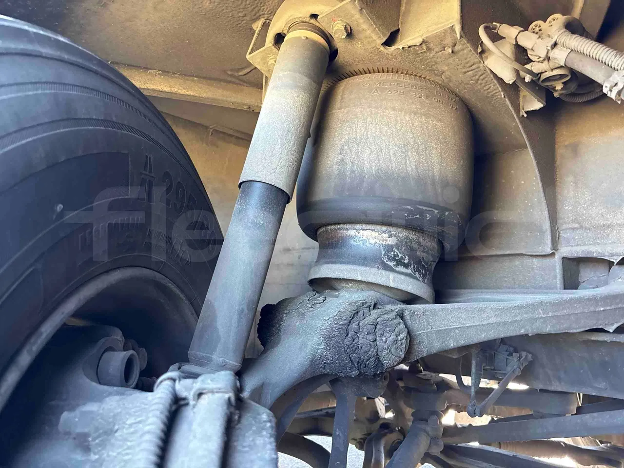 Setra S516 - front shock absorbers right