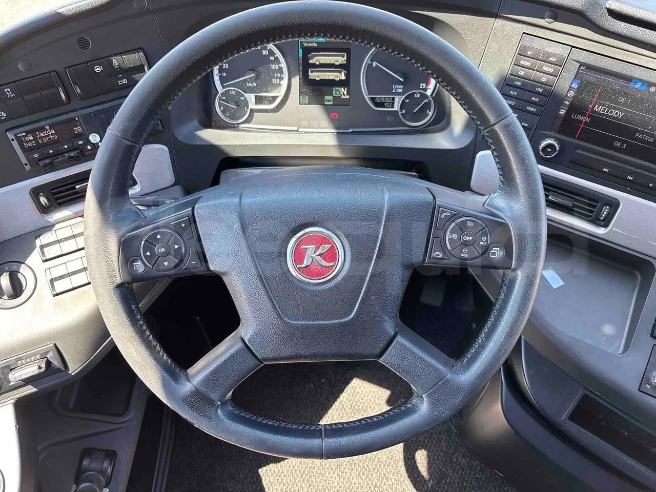 Setra S516 - steering wheel photo