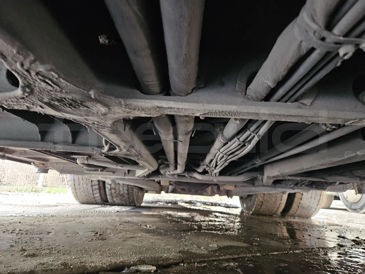 Neoplan Skyliner L- EURO 6 - 368 kW - 14.00m - central undercarriage photo