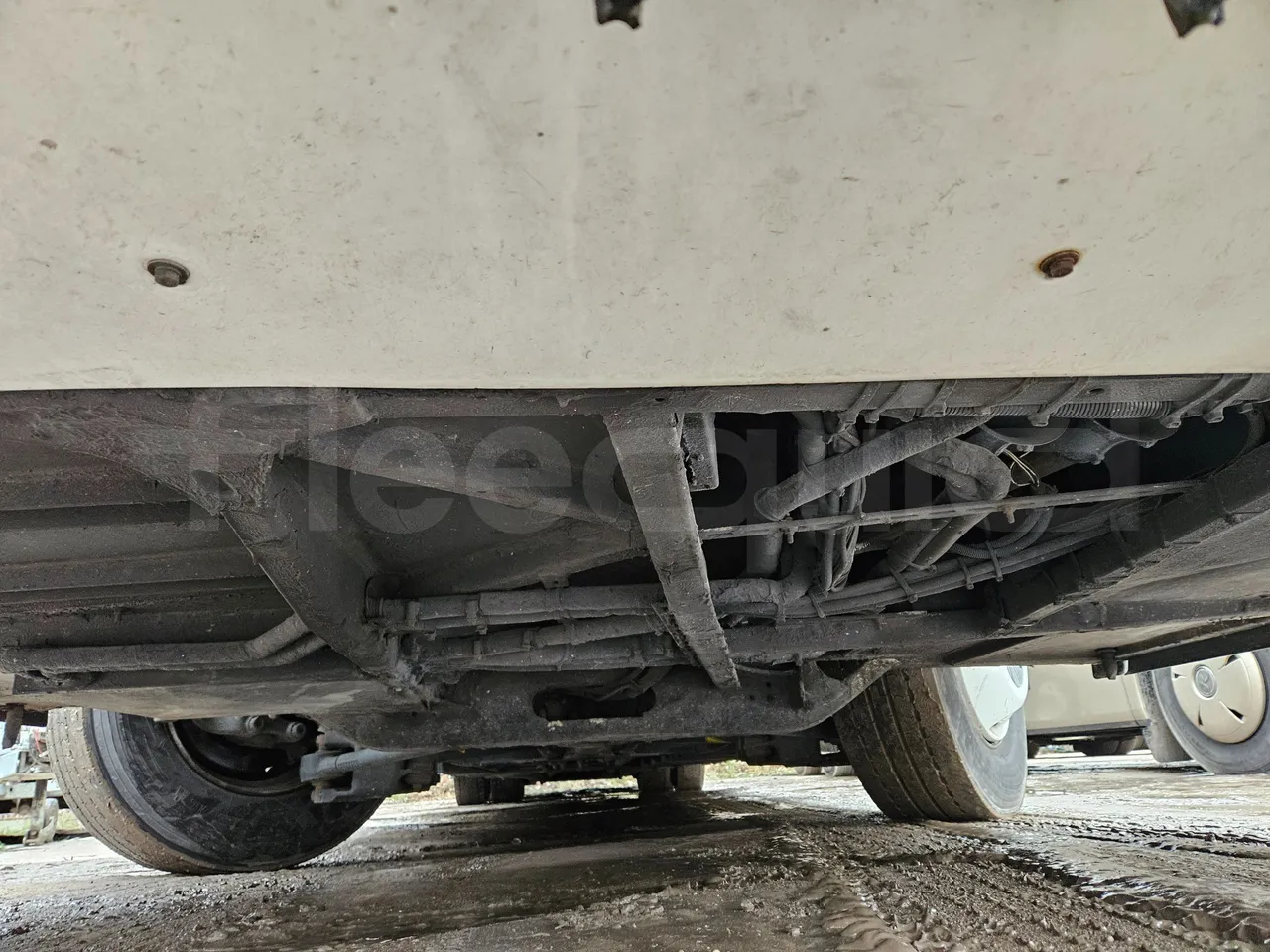 Neoplan Skyliner L- EURO 6 - 368 kW - 14.00m - front undercarriage from front