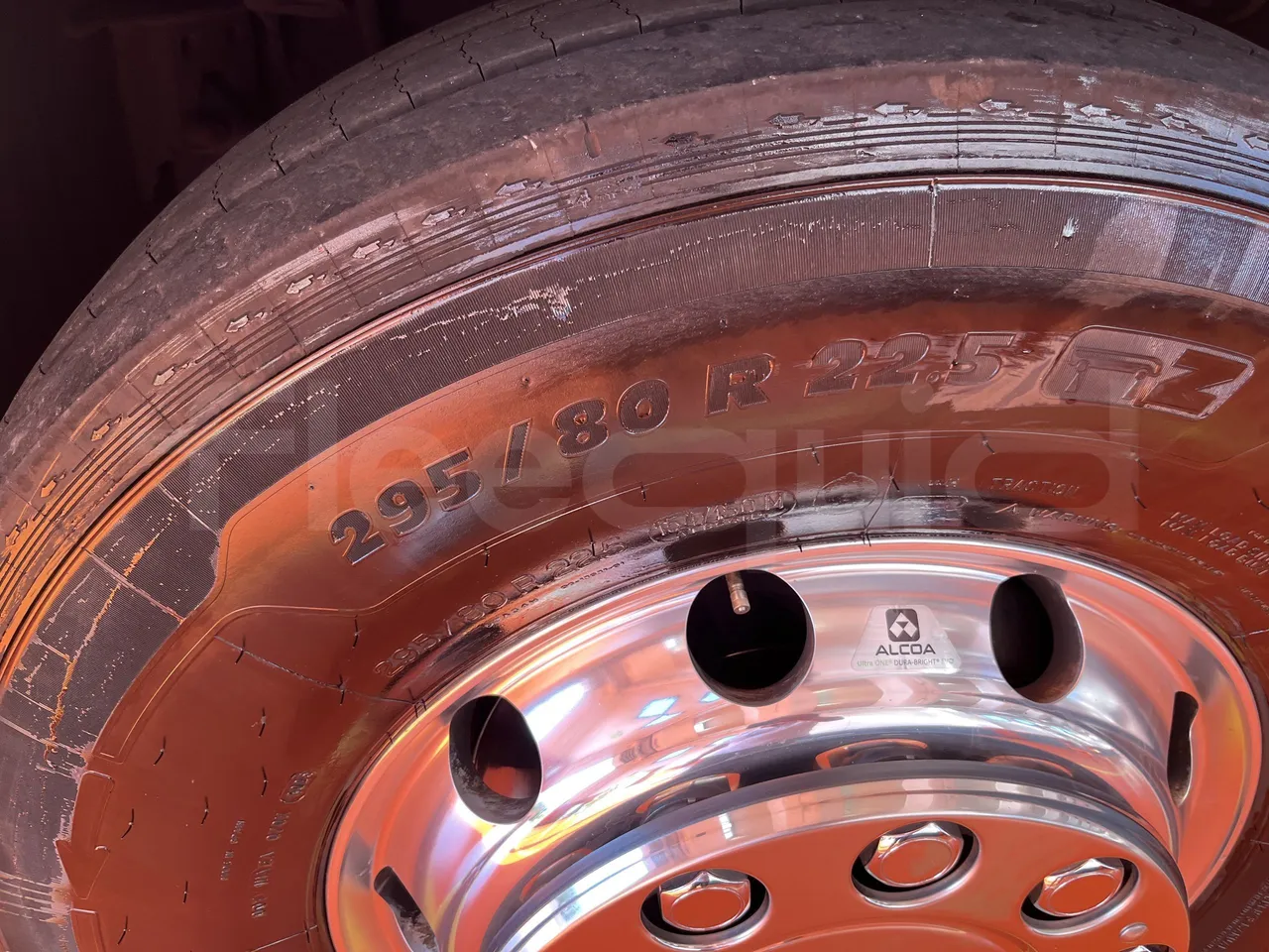 Neoplan Tourliner - First Axle Left Side: Tyre Size