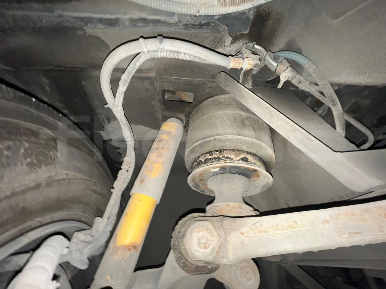 Temsa Safari RD R A T-I53 - Euro 5 - 266 kw - 12.200 mt - front air springs right