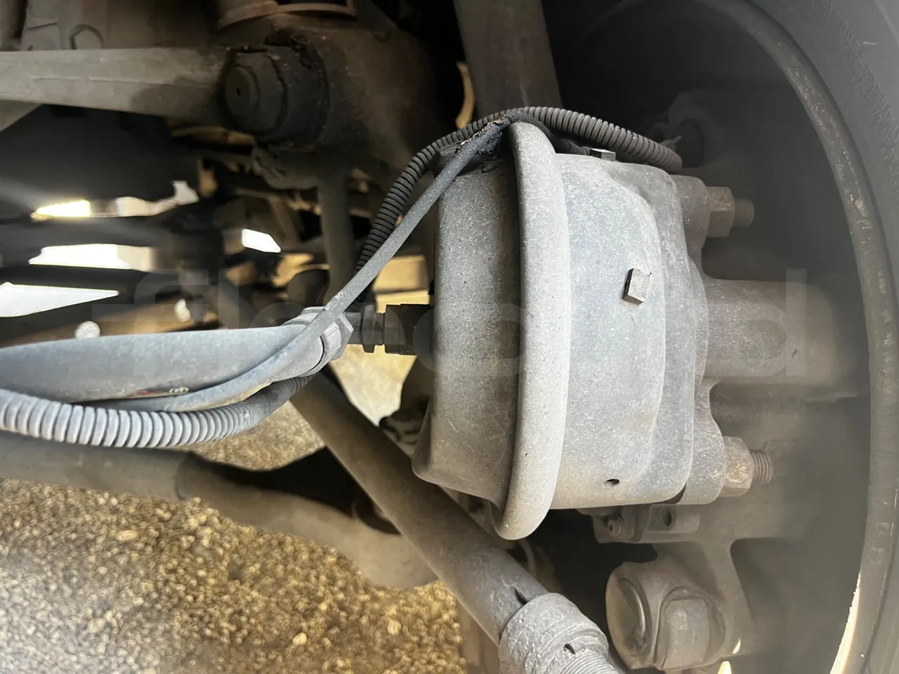 Iveco 389 - front brake calipers right