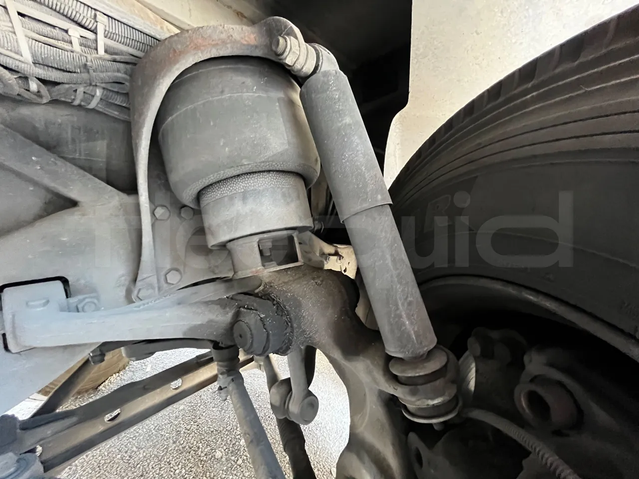 Iveco 389 - front shock absorbers right