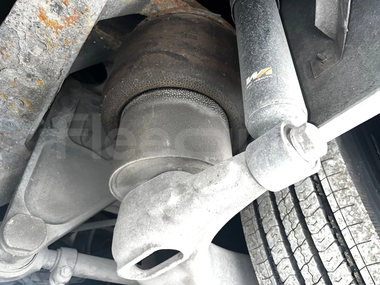 Iveco 389 - axle 2 shock absorbers 1 right