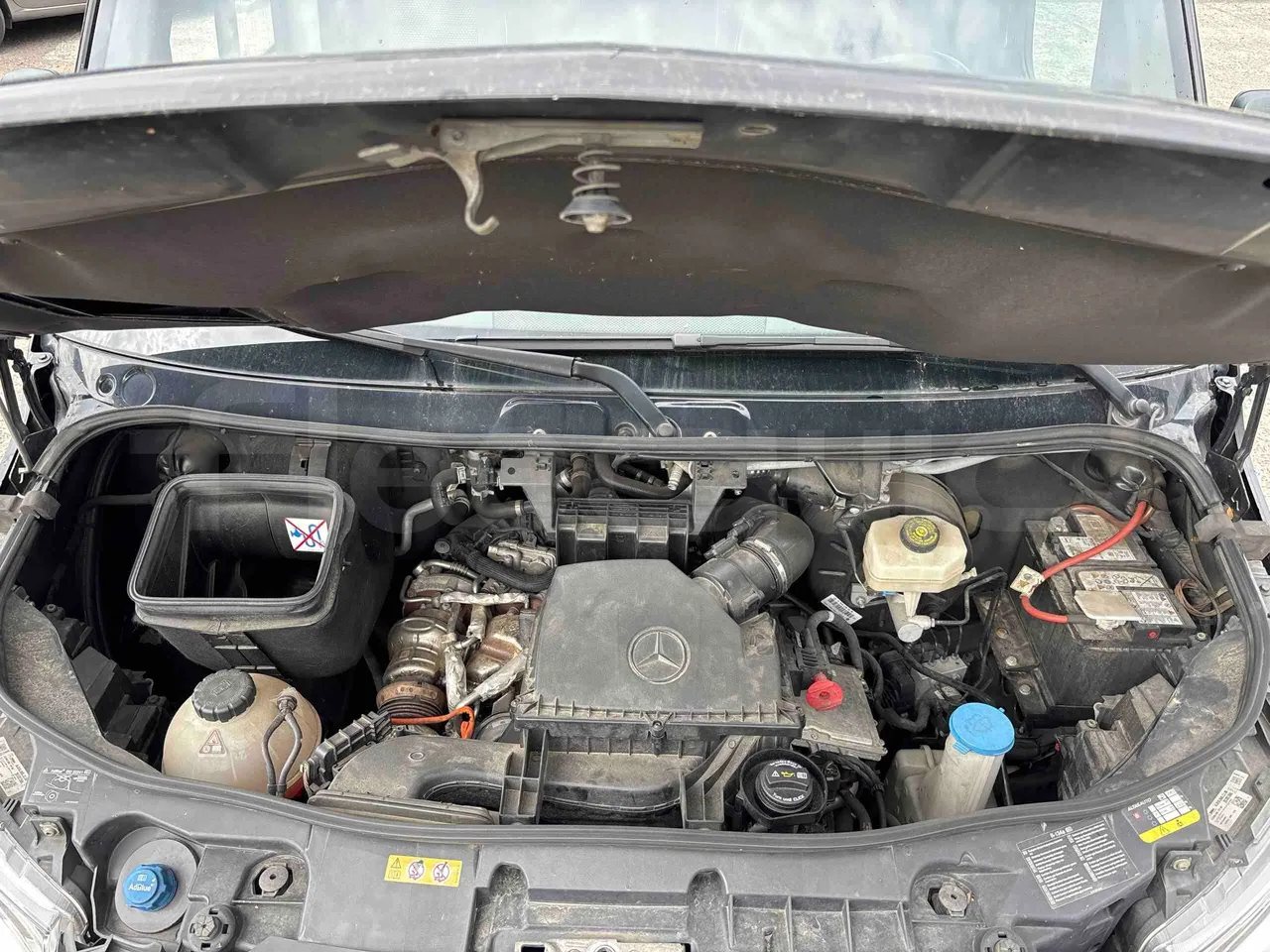 Mercedes-Benz Sprinter - rear hatch open