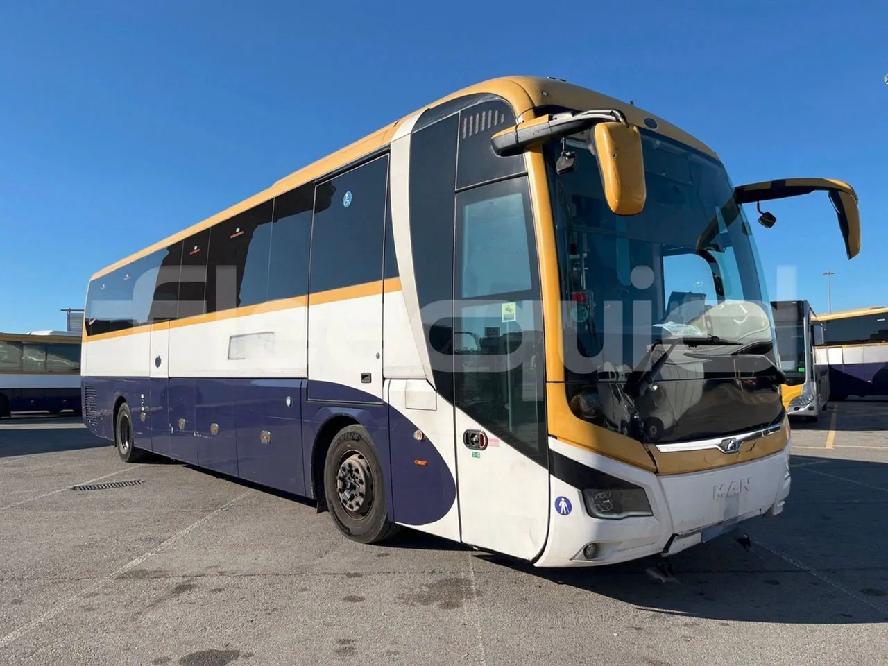Man Lion's Coach C - Base cover photo