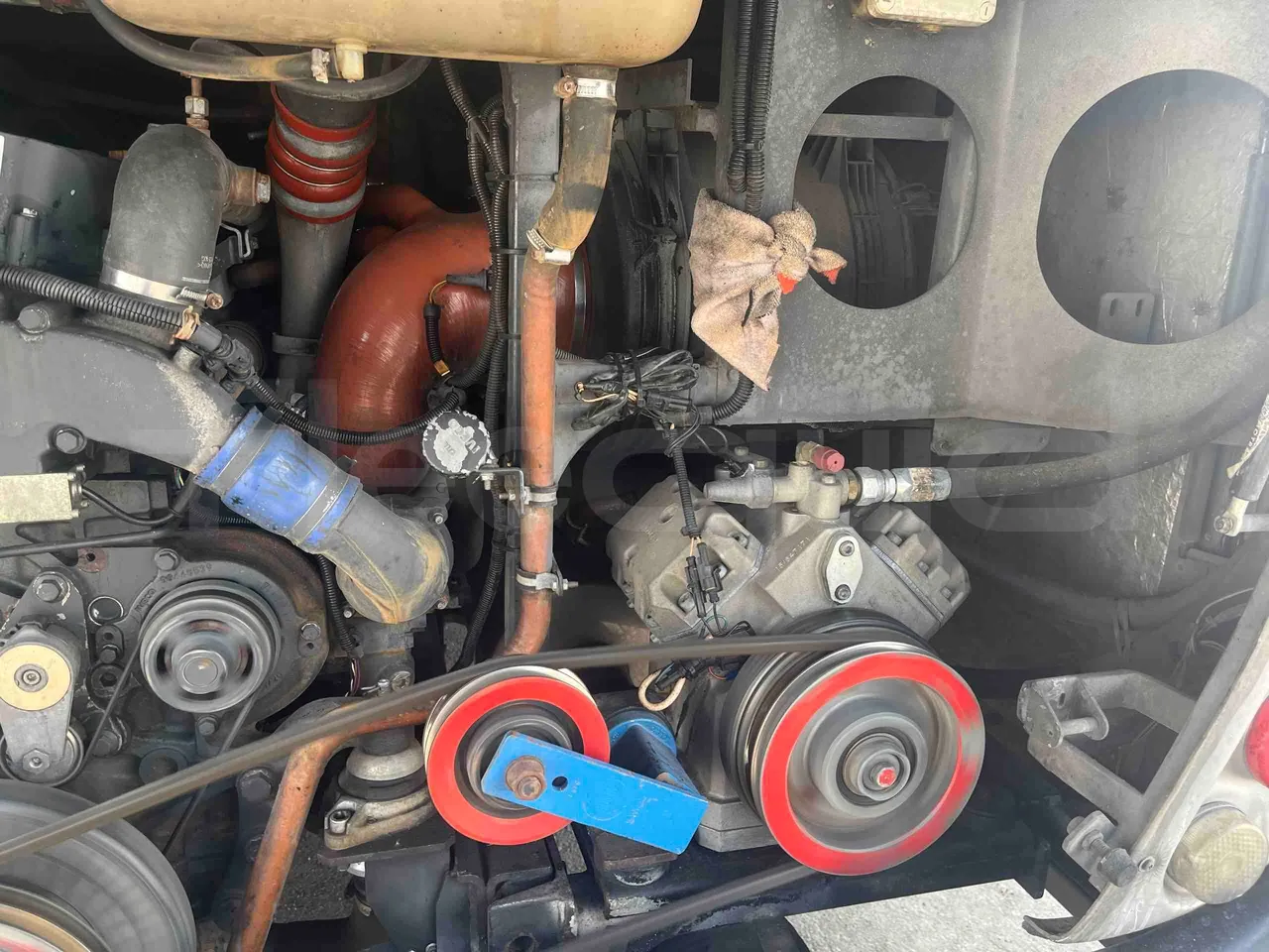 Iveco NOGE - engine plate photo