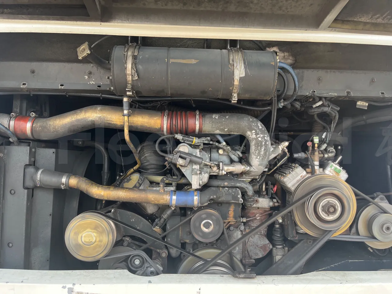 Neoplan Starliner N516SHD - EUR3 - 338kW - 12m - rear hatch open