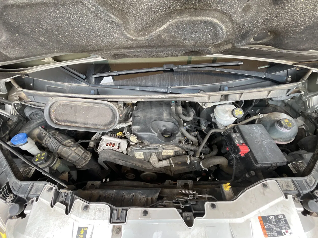 Ford Transit FBD -  Euro6 - 114kW - 6.704mt - rear hatch open