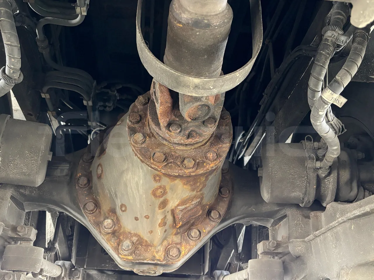 Temsa Safari - Differential