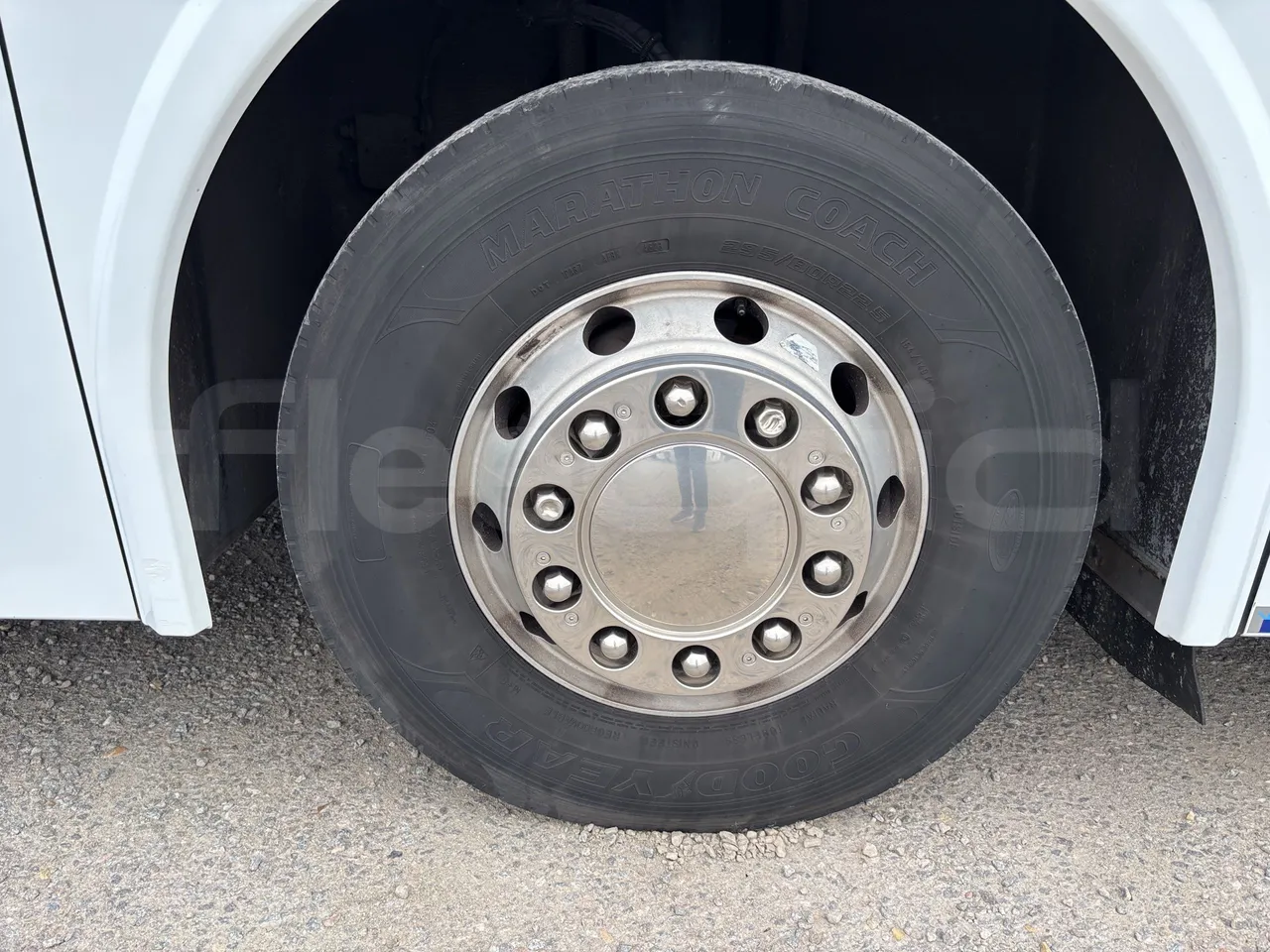 Temsa Safari - First Axle Left Side: Complete Tyre
