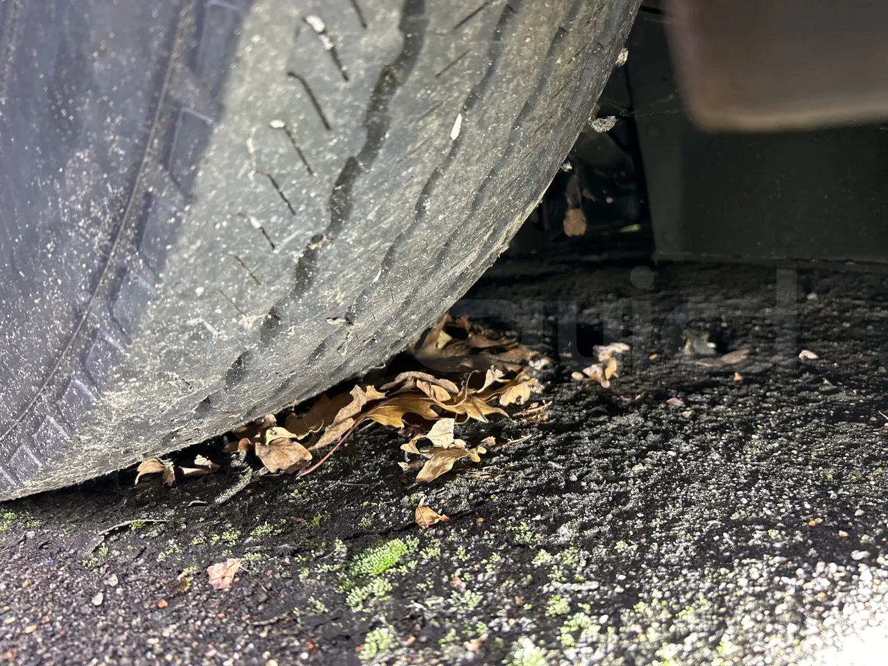 Mercedes-Benz Citaro O 530 LE - Euro5 - 220kW - 13.057mt - tread condition front tires right