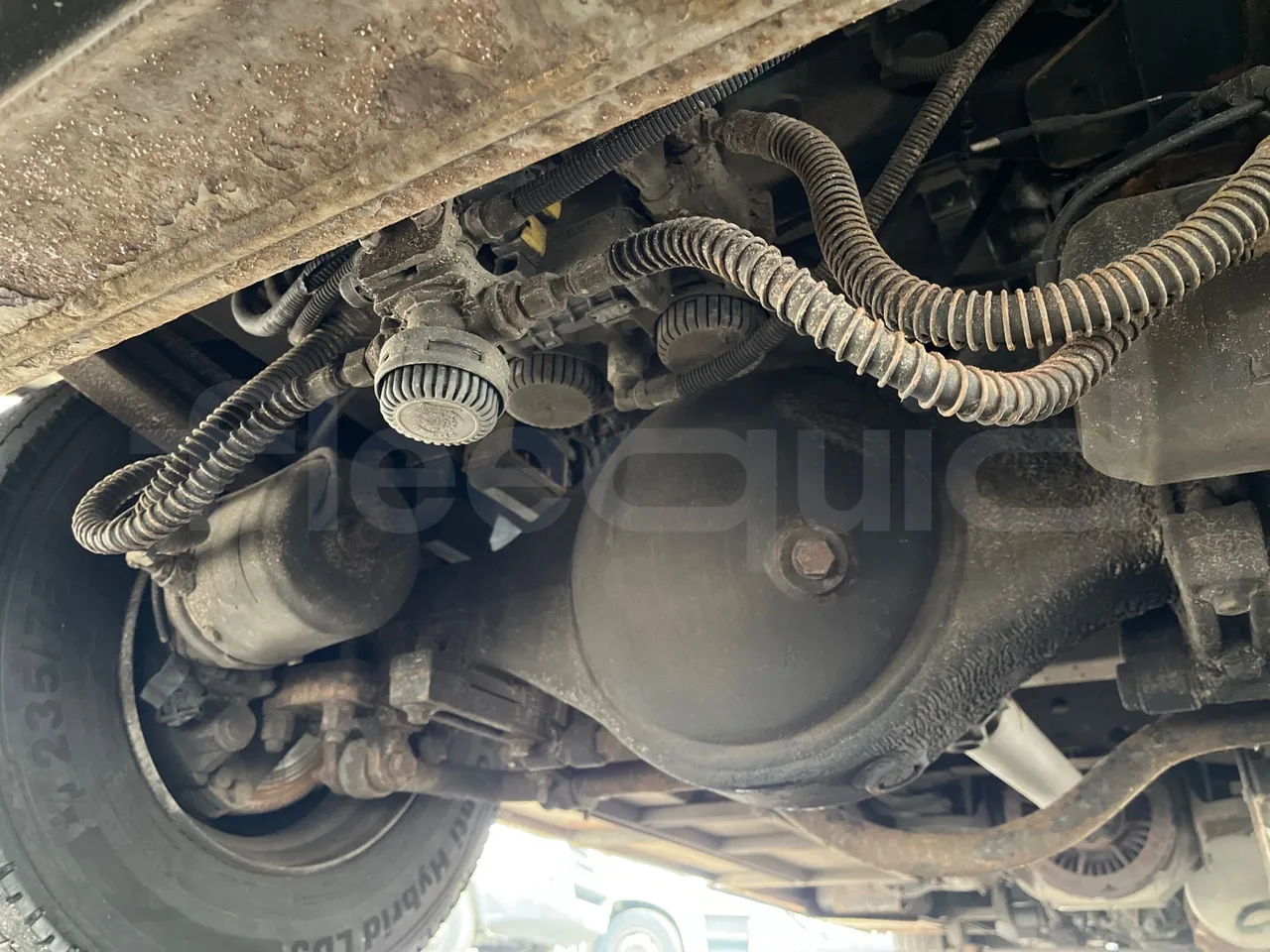 Isuzu Turquoise Q-Bus31 - EUR6 - axel 3  discs right