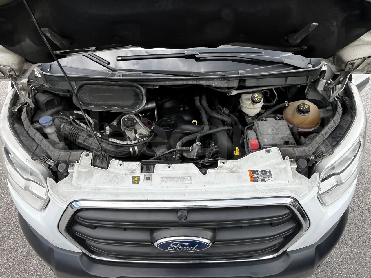 Ford Transit FBD - Euro 6 - 125 kW - 6.704 mt - rear hatch open