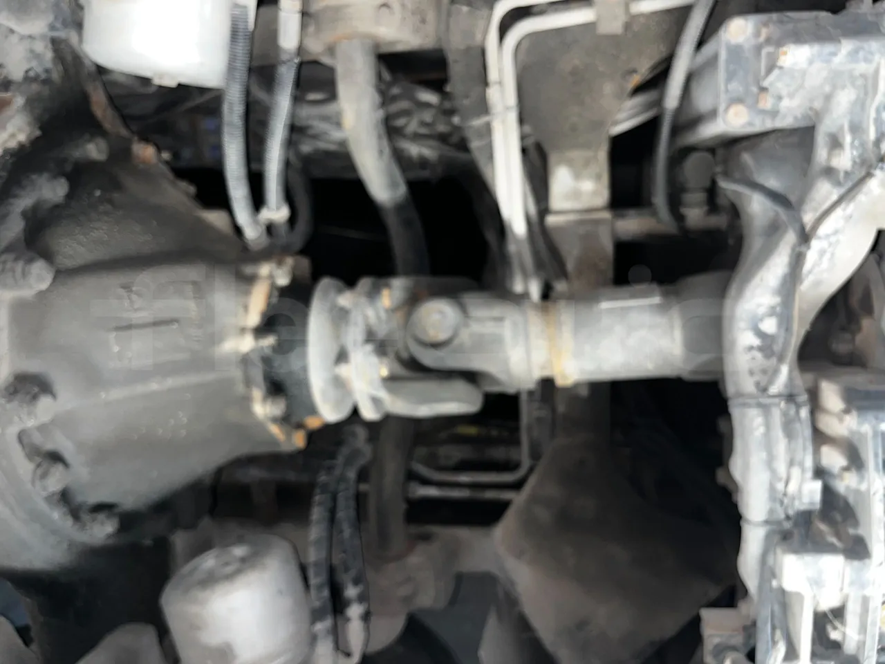 Iveco Domino - front discs right