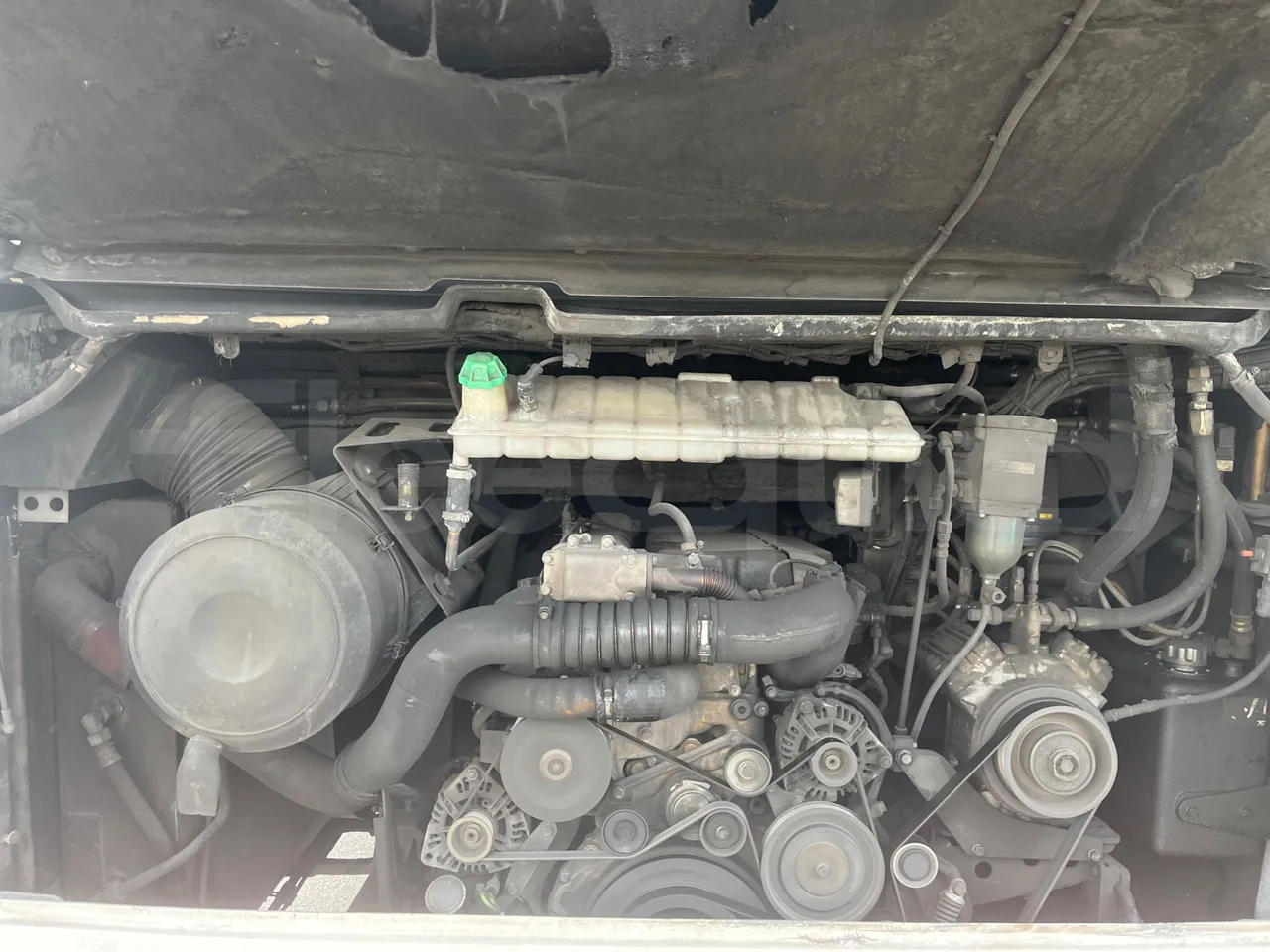 Man LIONS COACH L LIONS COACH L - Euro4 - 324kW - 13.800mt - rear hatch open