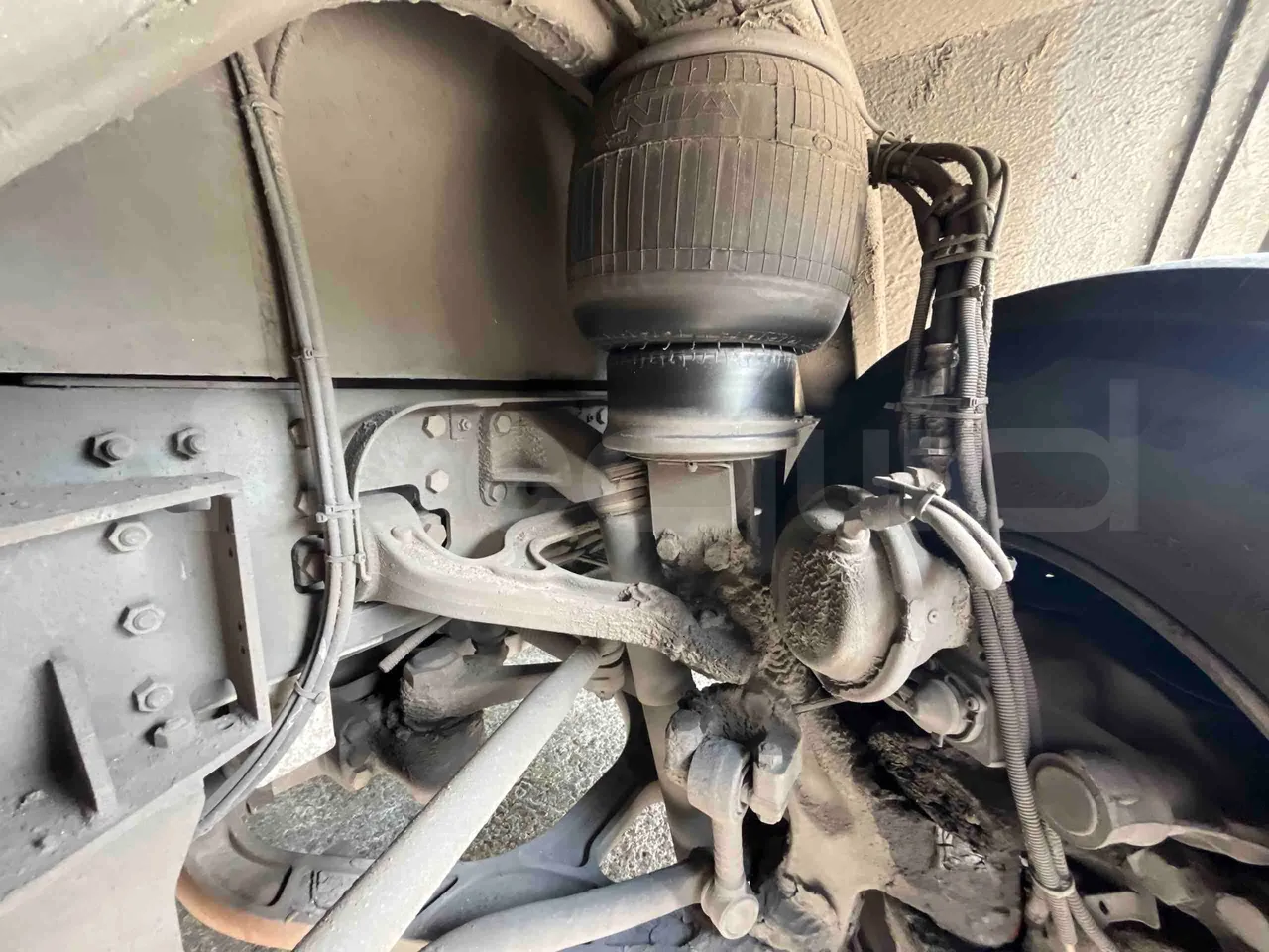 Scania Tata Hispano - front shock absorbers left