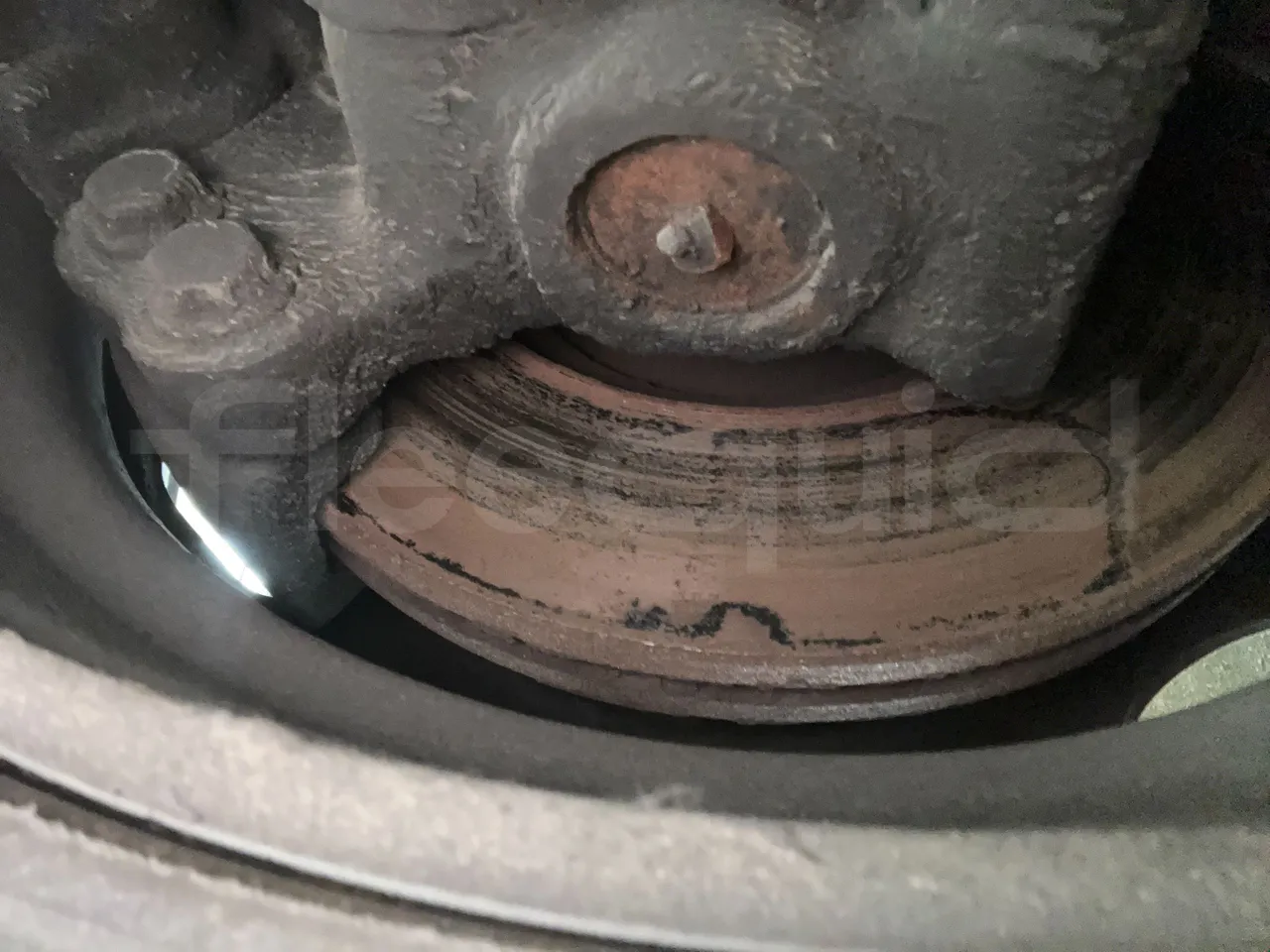 Iveco Domino - front shock absorbers right