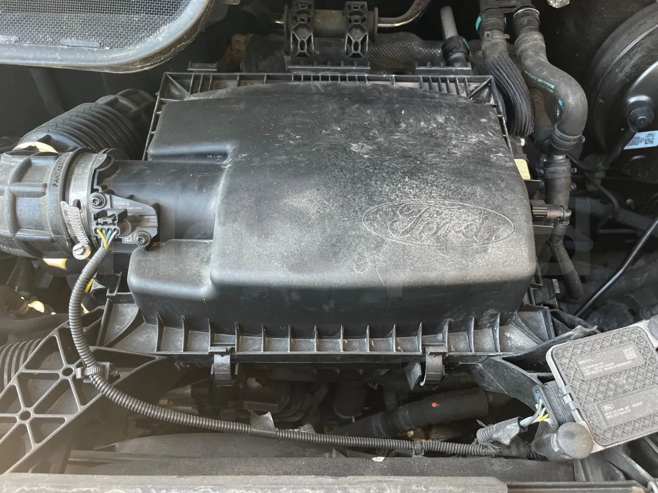 Ford Transit FAD - Euro6B - 125kW - 5.981mt - engine plate photo