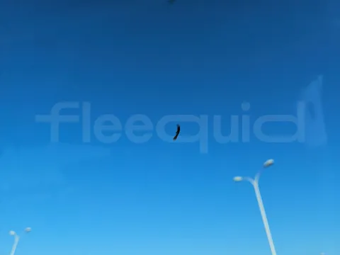 Setra S416 GT-HD/2 - EUR5 - 315kW - 13.020m - Image