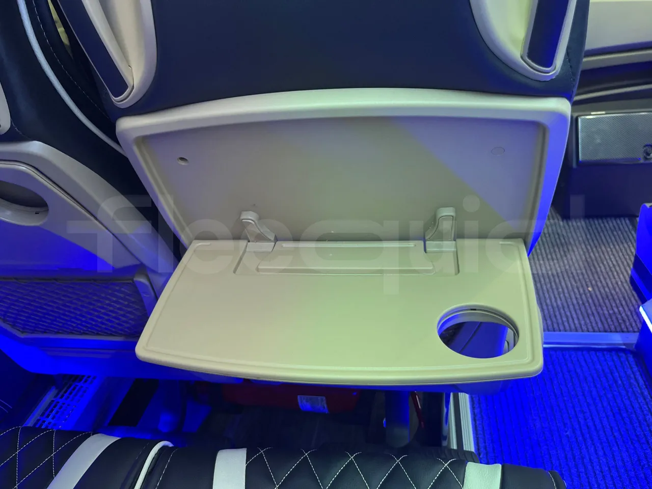 Iveco Daily 70C21/ Euro 6 - 152 Kw - 8.5 Mt - mesh detail photo