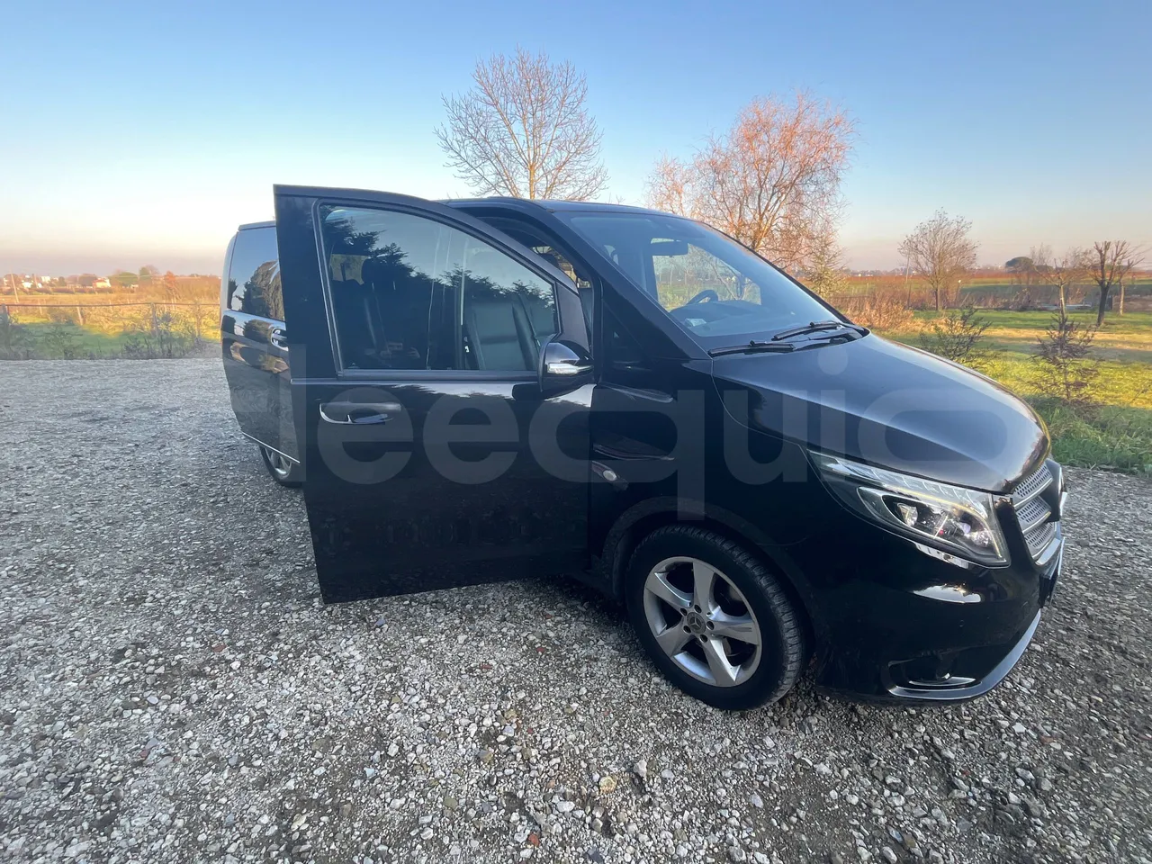 Mercedes-Benz Vito - 3/4 right front doors open