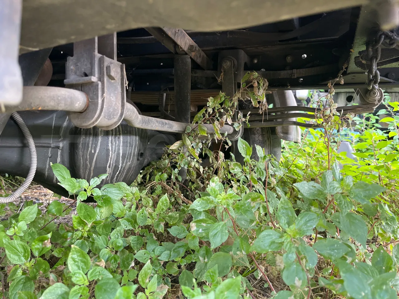 Renault Maxity F241 - Euro5 - 100kW - 4.972mt - axle 3 right side