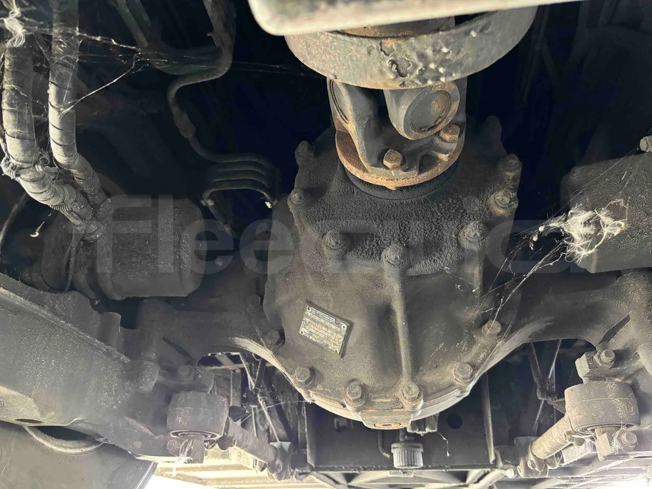 Temsa Safari - differential photo
