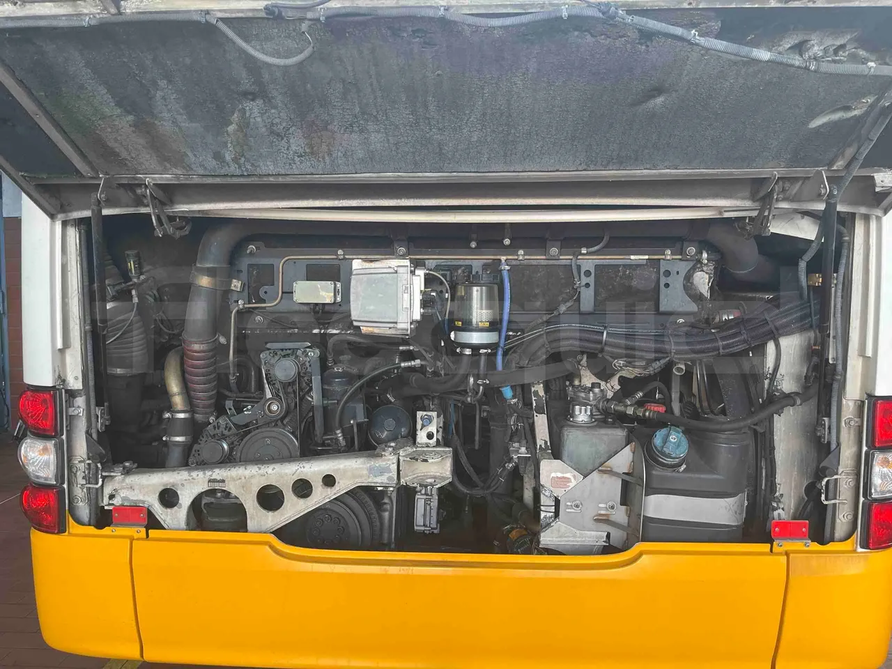 Man Lion's City - Rear Hatch Open