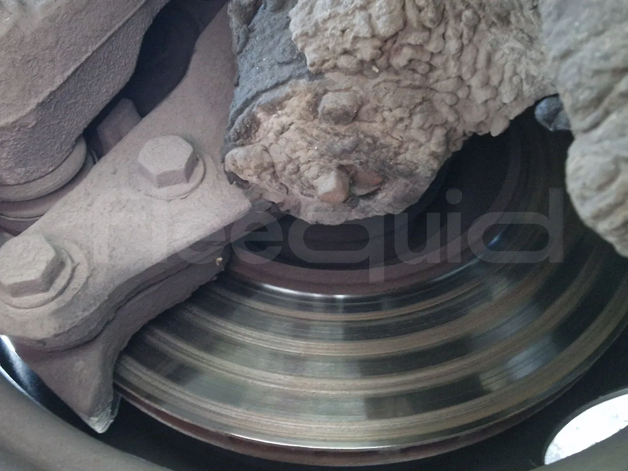 Setra S315 UL-EUR3-12m-185Kw - front discs right