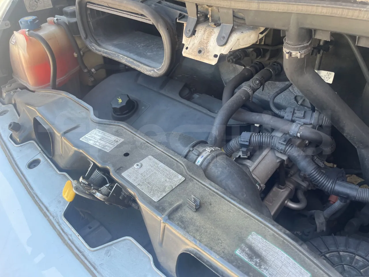 Fiat Ducato 250AMMPA/ Euro 5 - 96 Kw - 4.963 Mt - engine plate photo