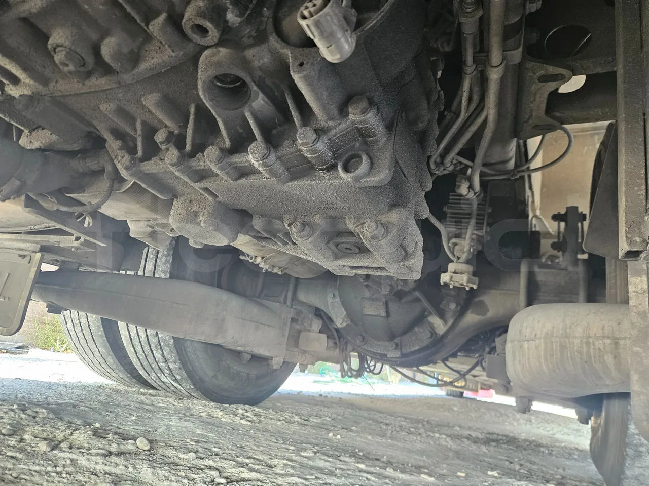 Man 18.463 HOCL Ratio - EUR4/338Kw/12.92Mt - differential photo