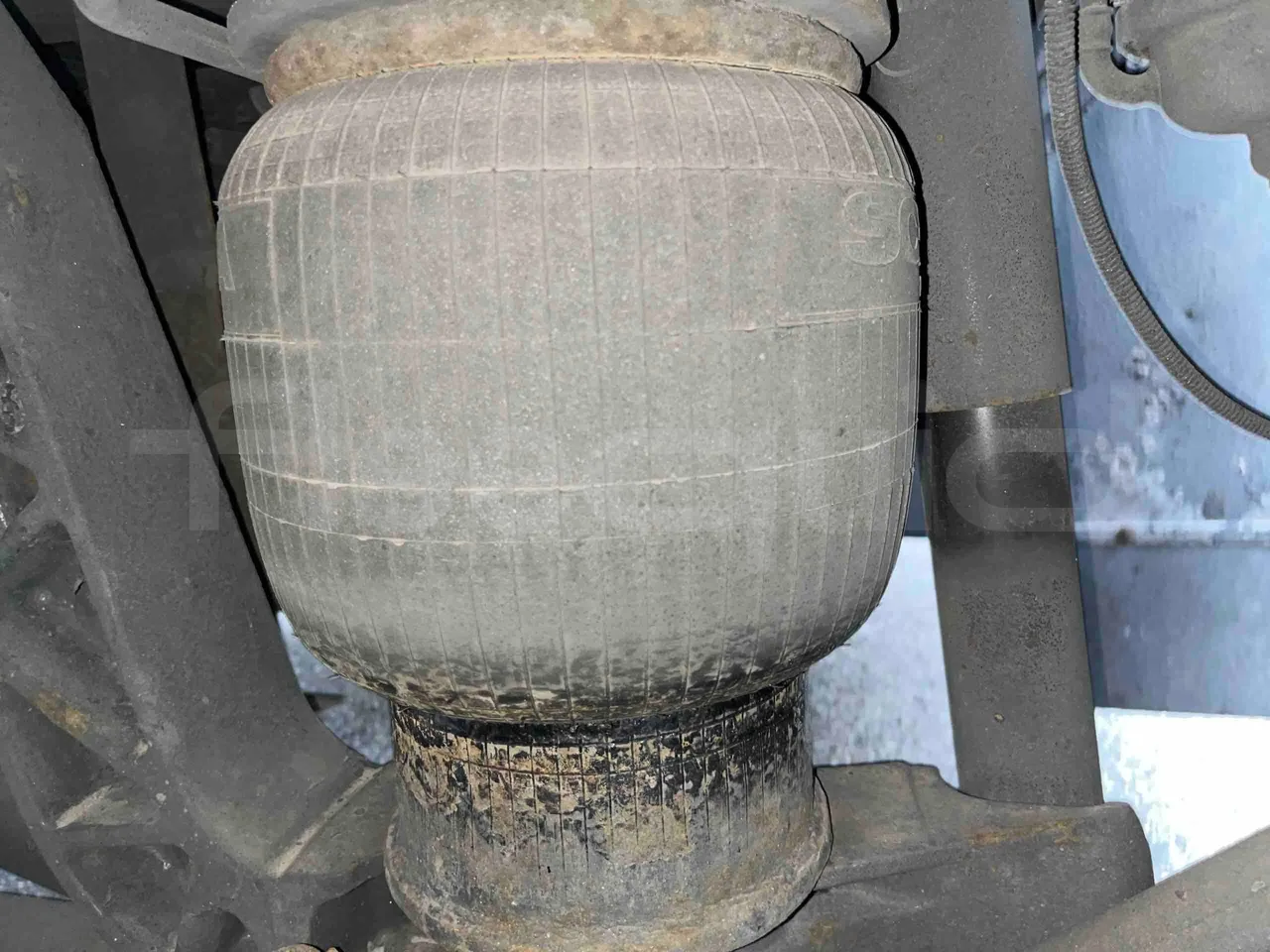 Scania Touring HD - axel 3 shock absorbers 1 left